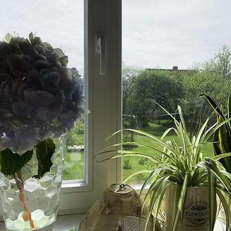 New 3br Family Friendly With Huge Garden&free Parking Lejlighed *