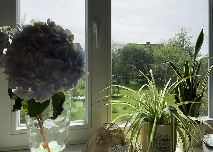 Leete Residence- 3br Family Friendly With Huge Garden&free Parking Daire *