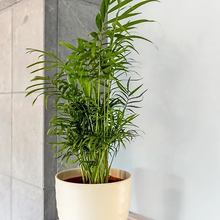 New 3br Family Friendly With Huge Garden&free Parking